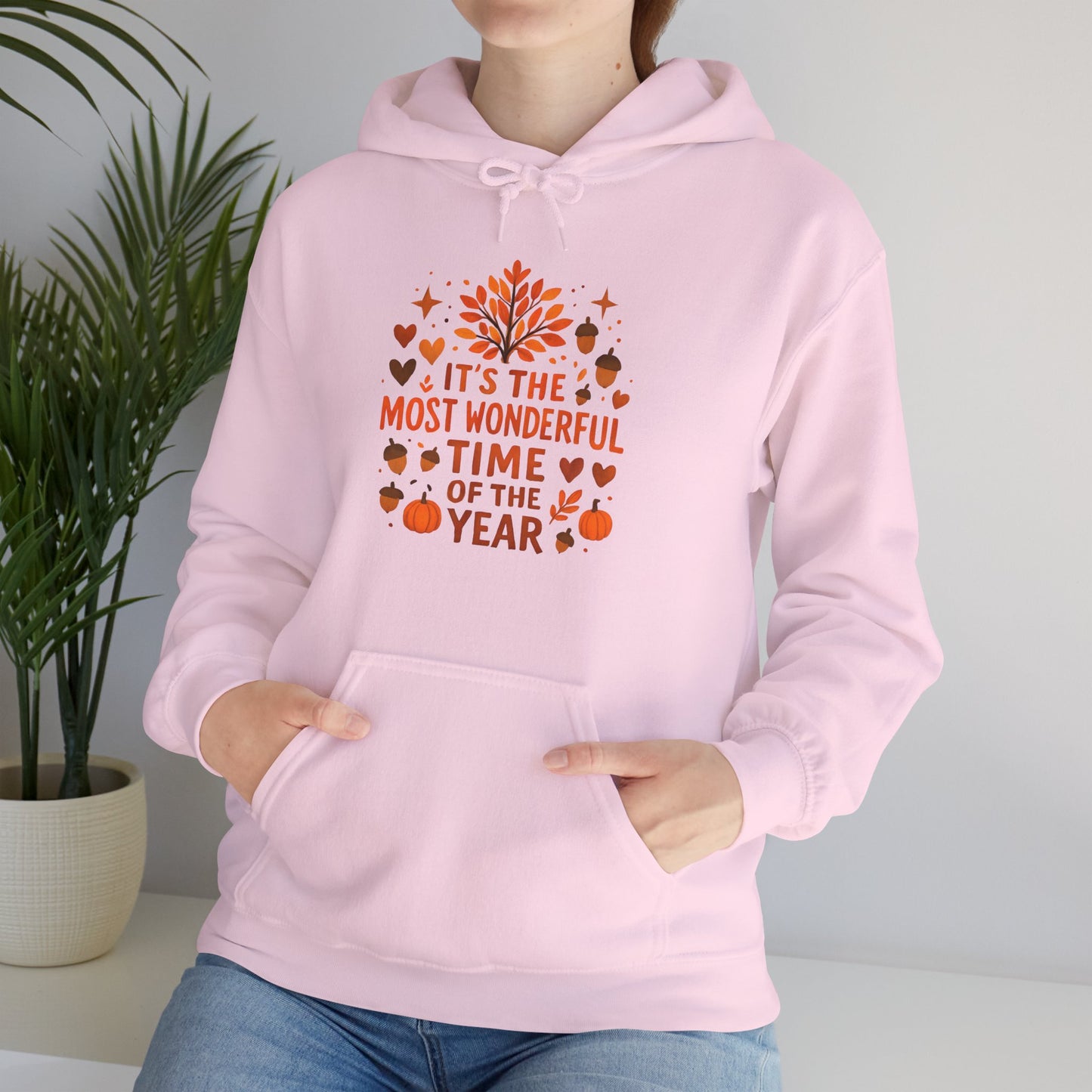 Most Wonderful Time Women's Hoodie