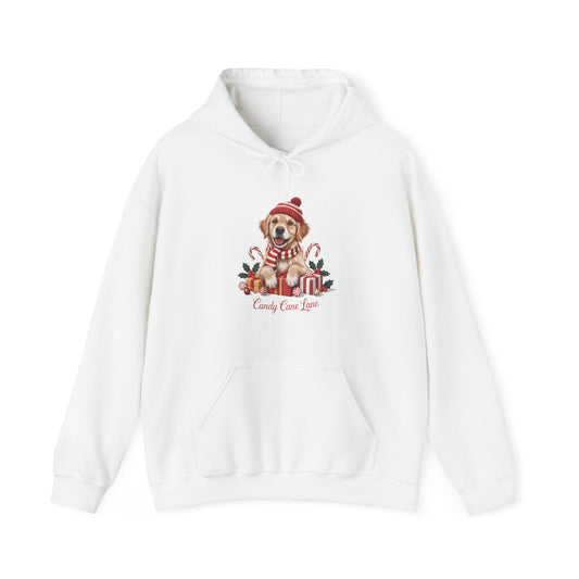 Golden Retriever Holiday Hoodie
