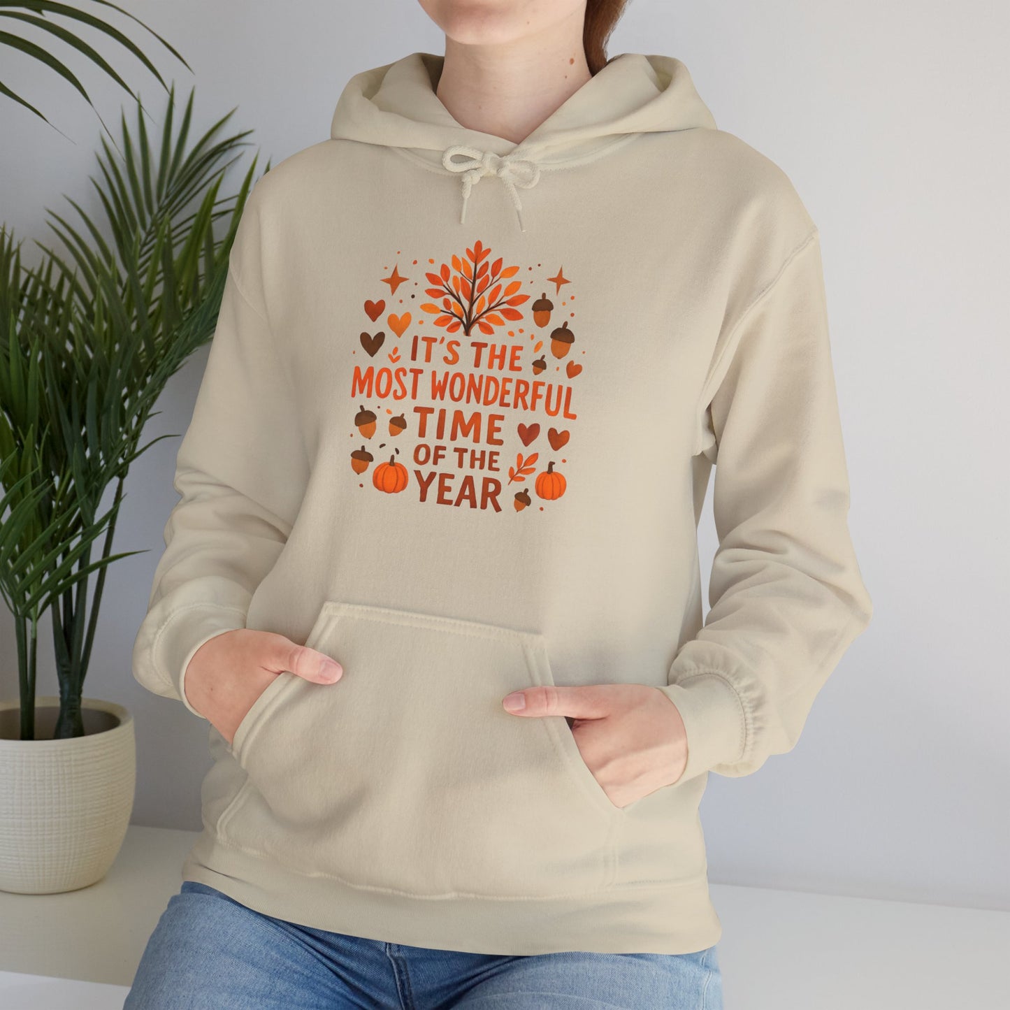 Most Wonderful Time Women's Hoodie