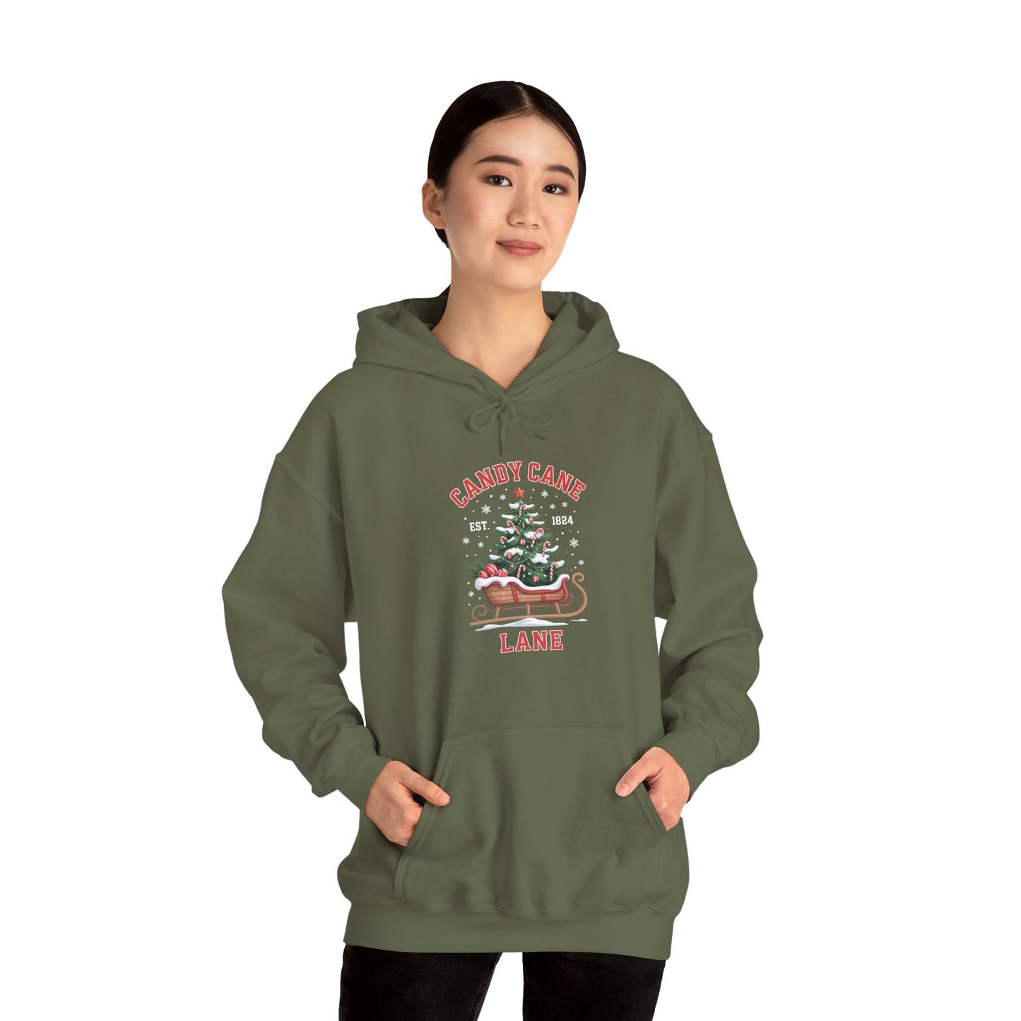 Candy Cane Lane Hoodie
