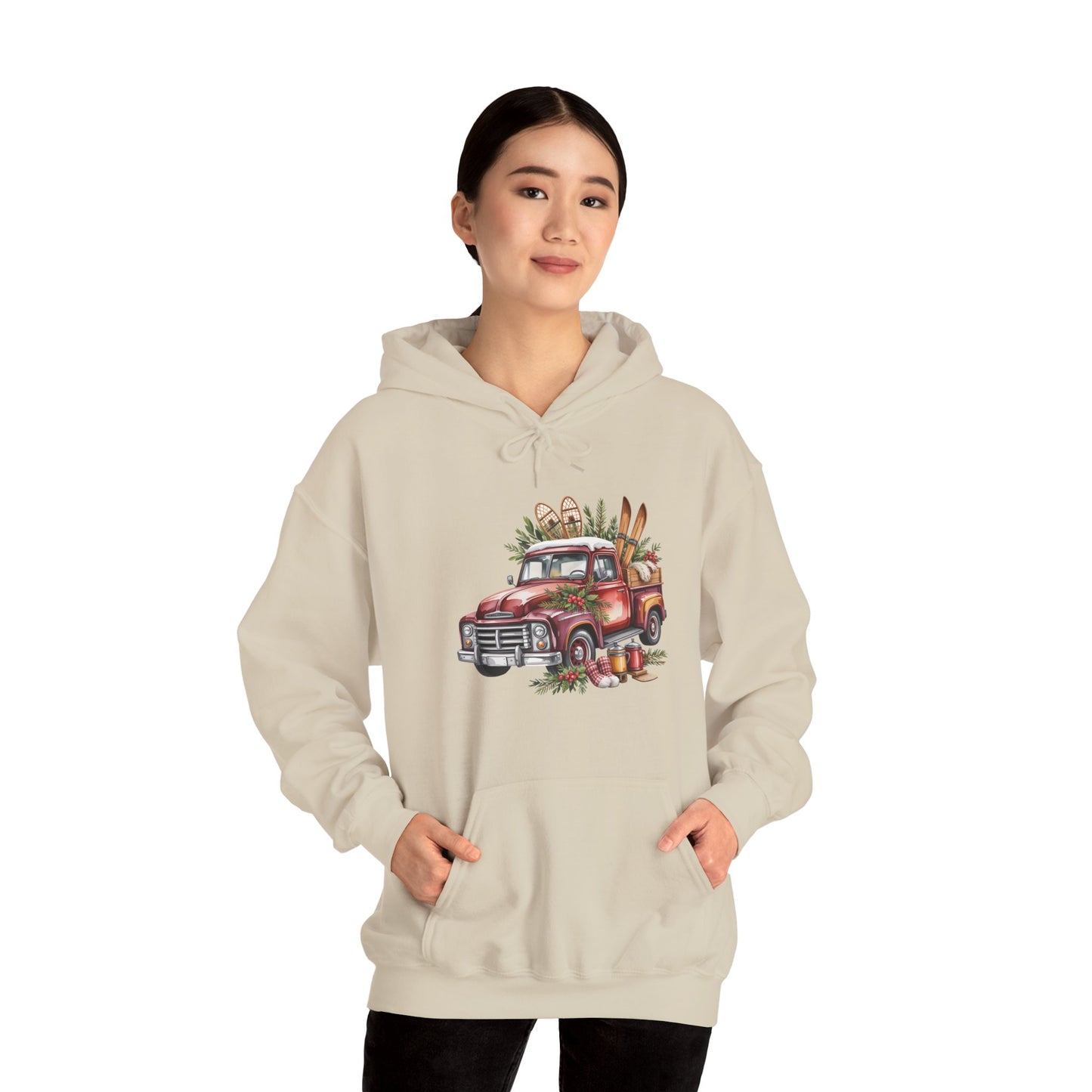 Retro Holiday Truck Hoodie