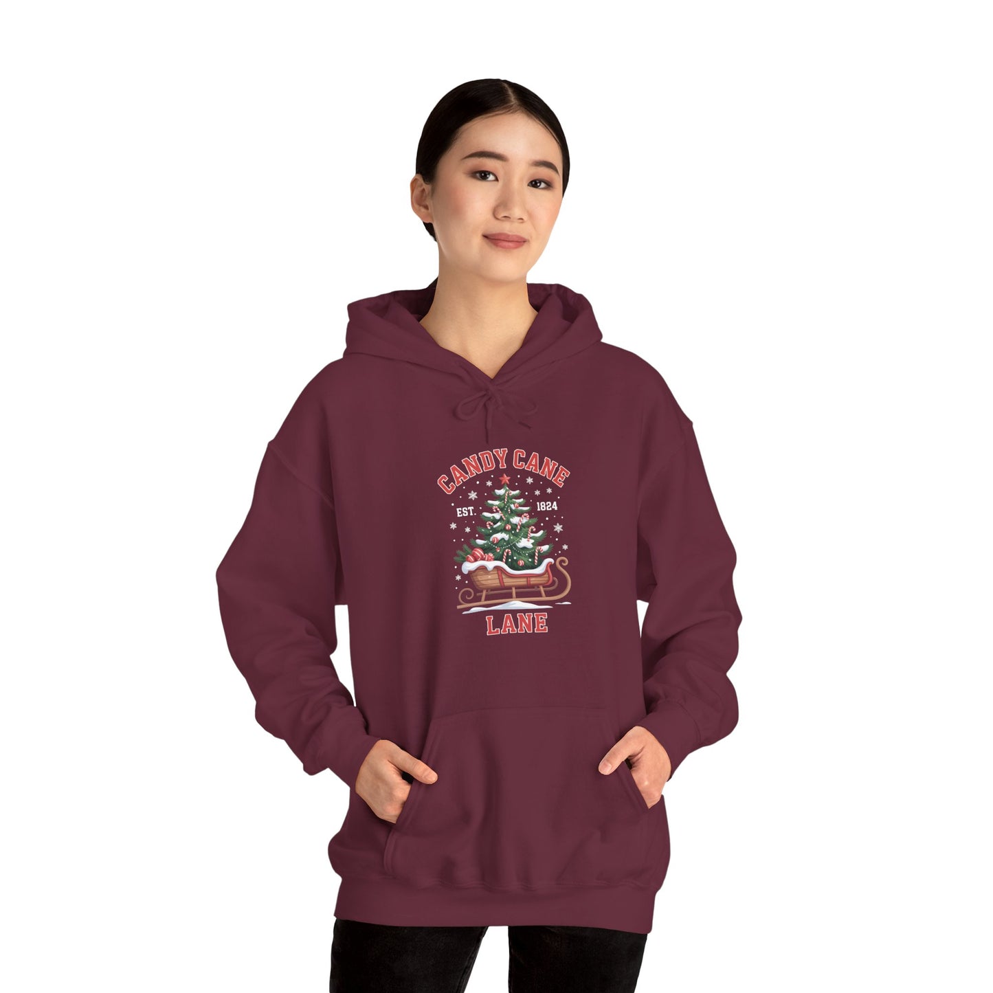 Candy Cane Lane Hoodie