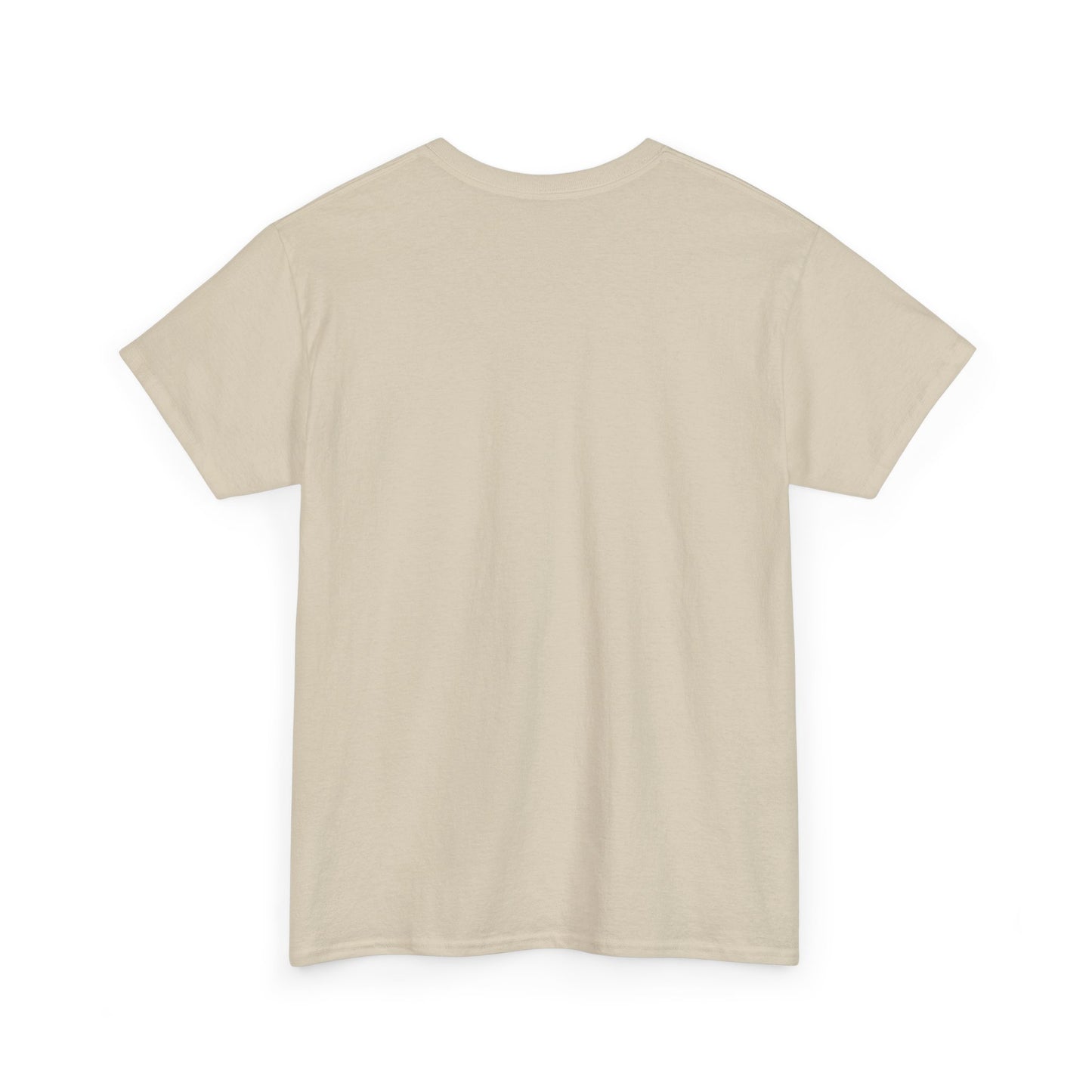 Pain Is the Warmup Men's T-Shirt